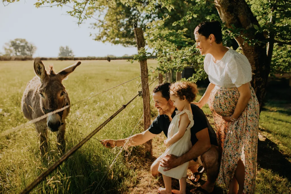 séance photo grossesse en famille avec un âne- photographe grossesse bordeaux
