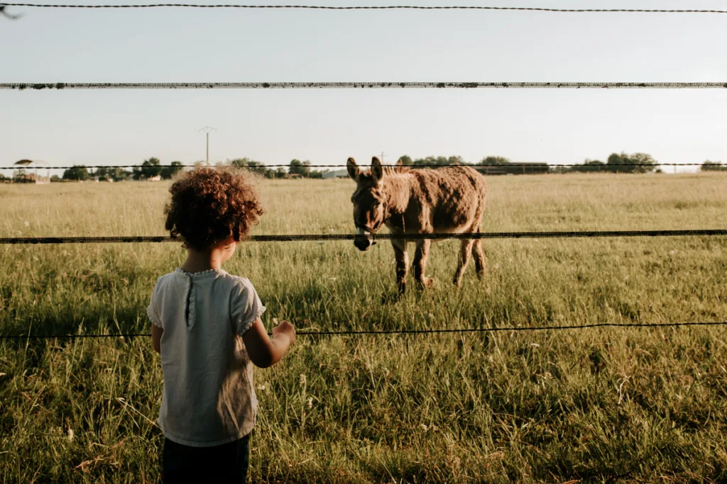 shooting photo en famille- petite fille avec un âne -photographe famille bordeaux